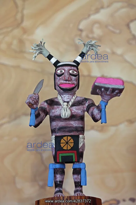 : Hopi 'Clown' Doll - carved from cottonwood root : Hopi 'Clown' Doll - carved from cottonwood root