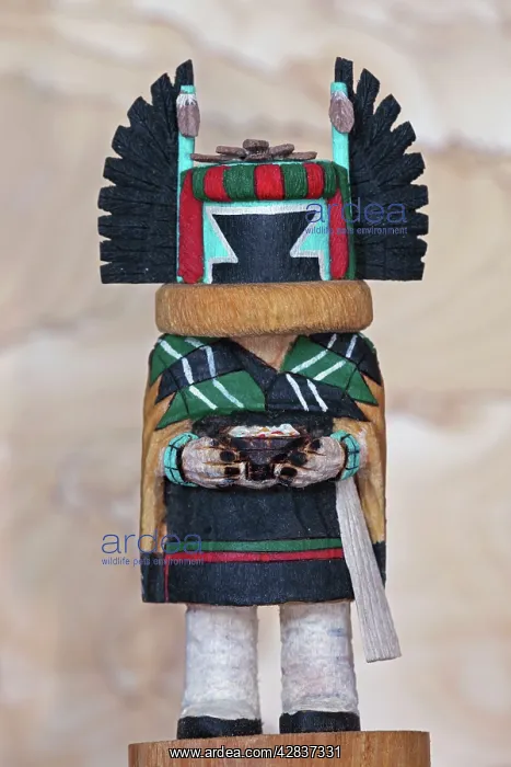 : Hopi Katchina Doll - ' Corn Mother' : Hopi Katchina Doll - ' Corn Mother'