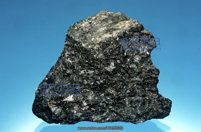 : Hornblende : Hornblende