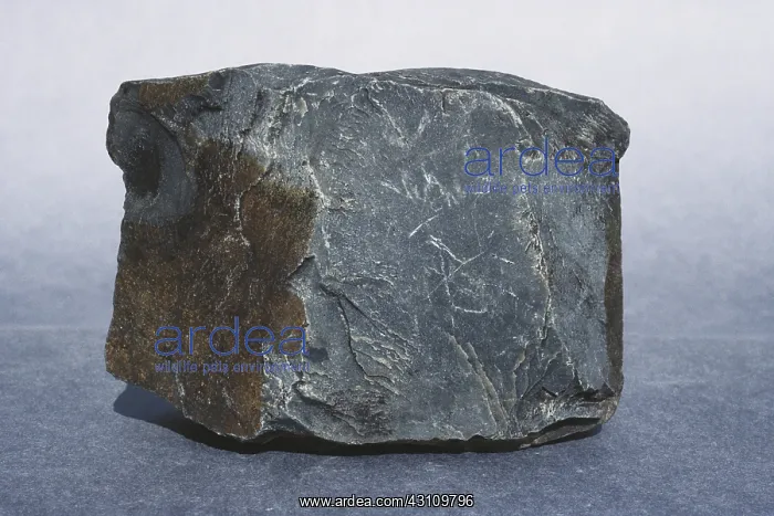  : Hornfels, a metamorphic rock created by contact metamorphism,