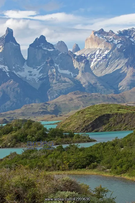 : The horns of Torres del Paine with Lake Pehoe : The horns of Torres del Paine with Lake Pehoe