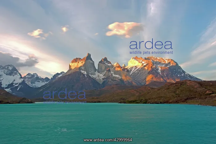 : The horns of Torres del Paine with Lake Pehoe : The horns of Torres del Paine with Lake Pehoe