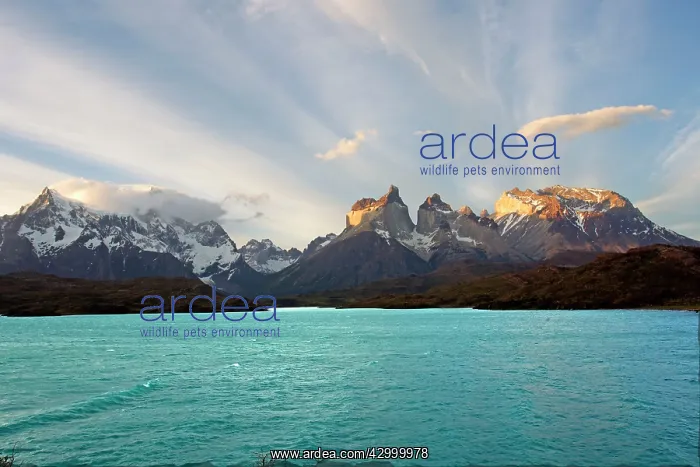 : The horns of Torres del Paine with Lake Pehoe : The horns of Torres del Paine with Lake Pehoe