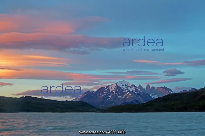 : The horns of Torres del Paine with Lake Pehoe : The horns of Torres del Paine with Lake Pehoe