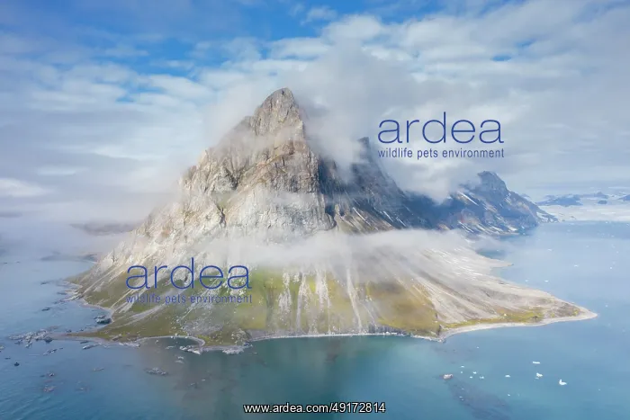 : Hornsund aerial : Hornsund aerial