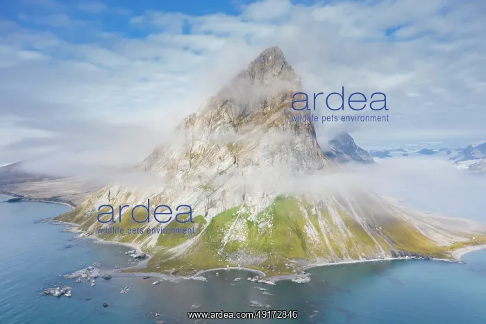 : Hornsund aerial : Hornsund aerial