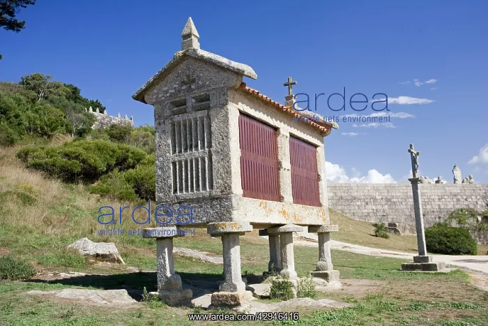 : Horreo or granary : Horreo or granary