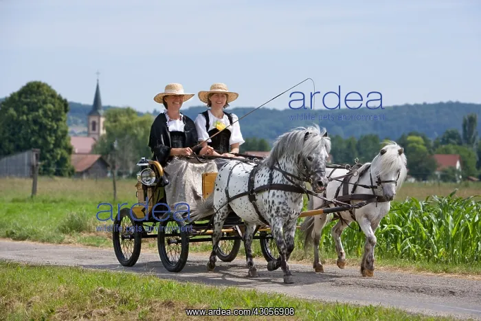 : Horse carriage and old costumes France : Horse carriage and old costumes France