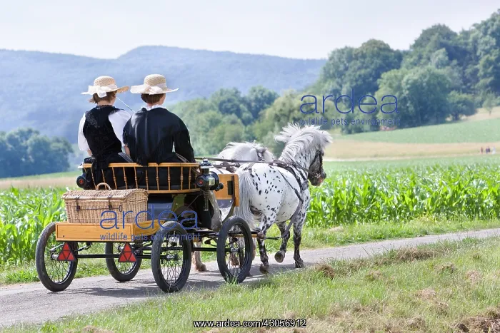 : Horse carriage and old costumes France : Horse carriage and old costumes France
