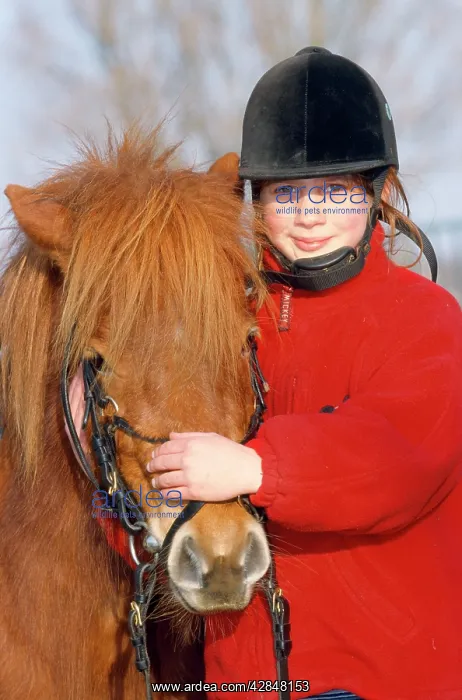  : Horse - girl with pony