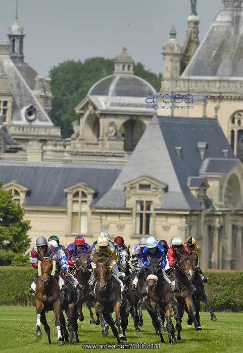 : Horse race Hippodrome de Chantilly Picardie France : Horse race Hippodrome de Chantilly Picardie France
