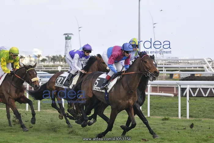 : Horse racing on the Hippodrome of Cagnes sur mer France : Horse racing on the Hippodrome of Cagnes sur mer France