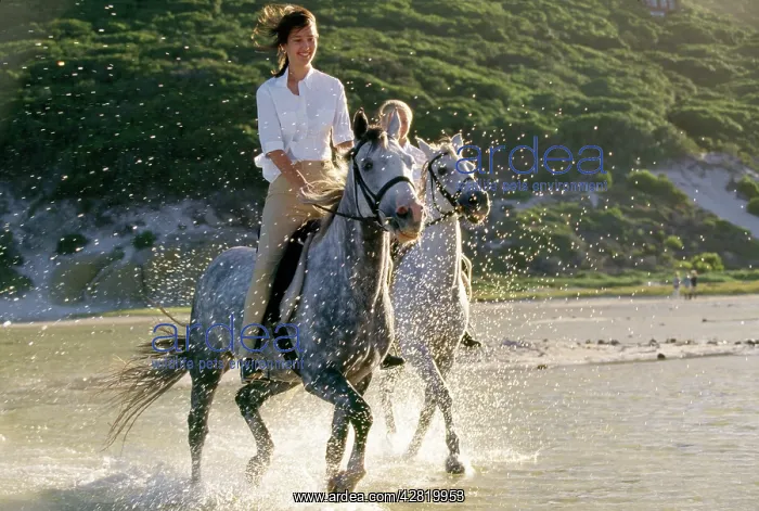 : Horse riders on lagoon : Horse riders on lagoon