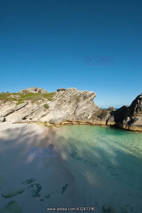 : Horseshoe Bay beach, Bermuda : Horseshoe Bay beach, Bermuda