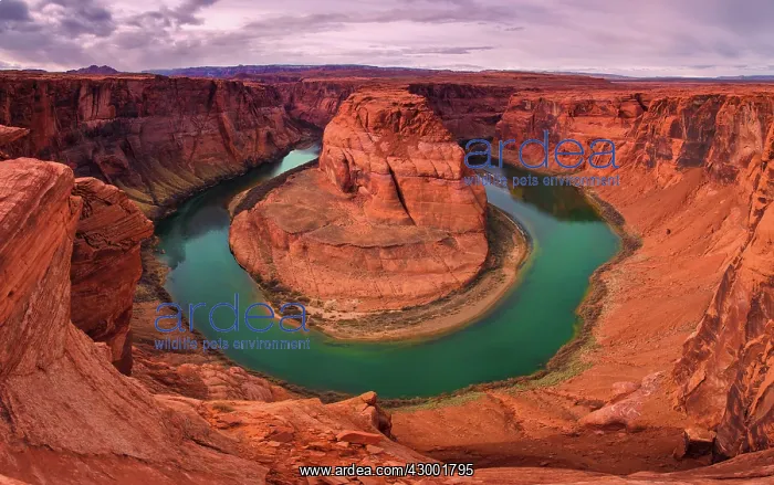 : Horseshoe Bend : Horseshoe Bend