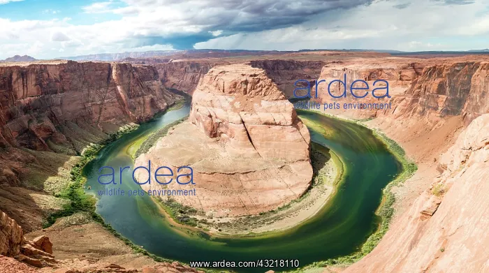 : Horseshoe Bend, bend of the Colorado River, King : Horseshoe Bend, bend of the Colorado River, King