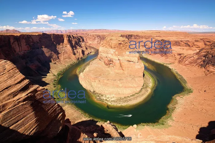 : Horseshoe Bend. Colorado River. Page. Arizona. USA : Horseshoe Bend. Colorado River. Page. Arizona. USA