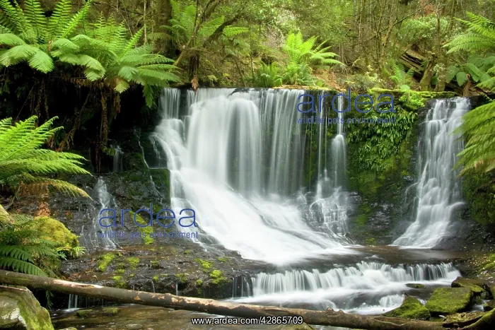 : Horseshoe Falls - beautiful horseshoe-shaped waterfall : Horseshoe Falls - beautiful horseshoe-shaped waterfall