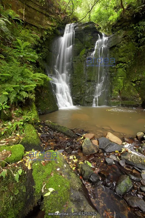 : Horseshoe Falls, Matai Falls, Catlins, South : Horseshoe Falls, Matai Falls, Catlins, South