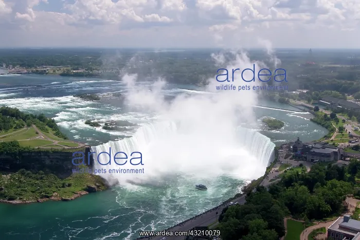 : Horseshoe Falls, Niagara River, Niagara Falls, Ontario : Horseshoe Falls, Niagara River, Niagara Falls, Ontario