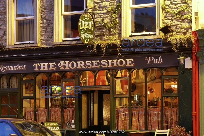 : The Horseshoe Pub and Restaurant, Kenmare, Ring : The Horseshoe Pub and Restaurant, Kenmare, Ring