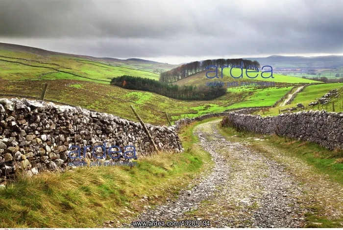 : Horton Scar Lane near Horton in Ribblesdale : Horton Scar Lane near Horton in Ribblesdale