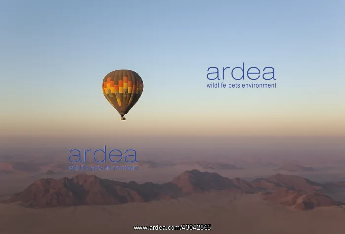  : The hot-air balloon above an arid plain and isolated