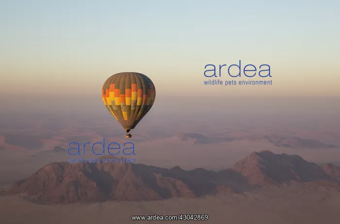  : The hot-air balloon above an arid plain and isolated