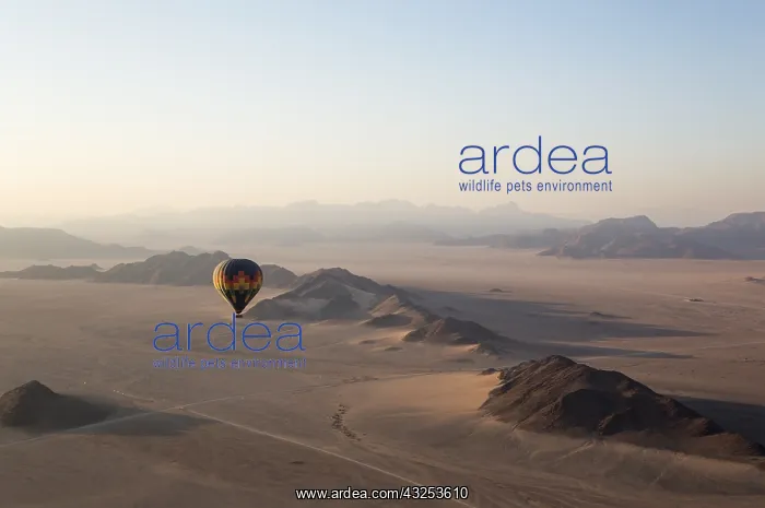 : The hot-air balloon above an arid plain and isolated : The hot-air balloon above an arid plain and isolated