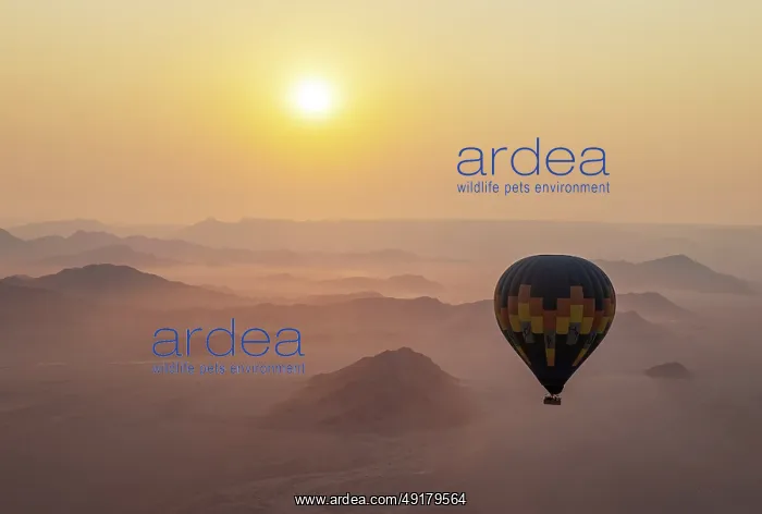 : The hot-air balloon above an arid plain and isolated mountain ridges at the edge of the Namib Desert : The hot-air balloon above an arid plain and isolated mountain ridges at the edge of the Namib Desert
