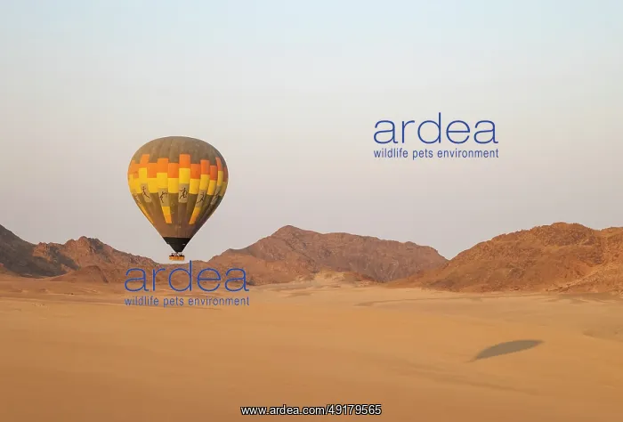 : The hot-air balloon above an arid plain and isolated mountain ridges at the edge of the Namib Desert : The hot-air balloon above an arid plain and isolated mountain ridges at the edge of the Namib Desert