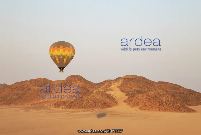 : The hot-air balloon above an arid plain and isolated mountain ridges at the edge of the Namib Desert : The hot-air balloon above an arid plain and isolated mountain ridges at the edge of the Namib Desert