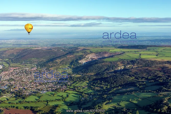 : Hot Air Balloon - Cheddar - Somerset - UK : Hot Air Balloon - Cheddar - Somerset - UK