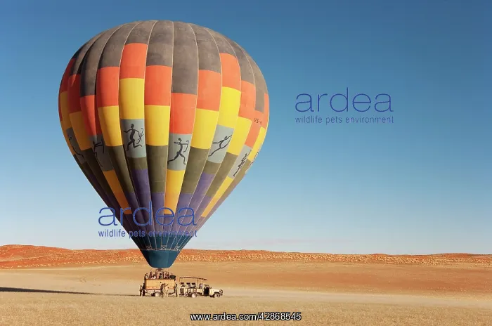 : Hot air Balloon - after having landed, the ground : Hot air Balloon - after having landed, the ground