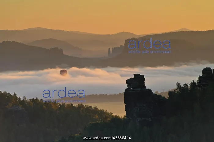 : Hot air balloon rising in the morning fog at sun : Hot air balloon rising in the morning fog at sun