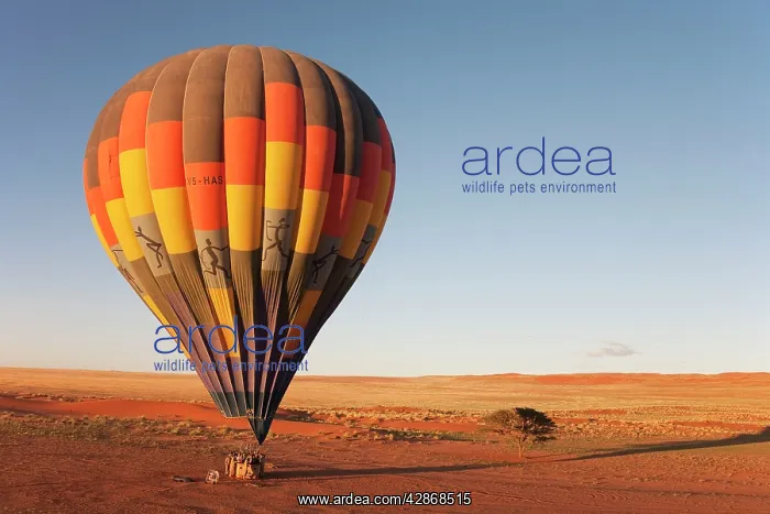 : Hot-air balloon shortly before take-off in the : Hot-air balloon shortly before take-off in the