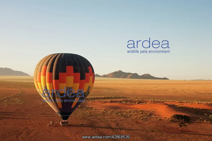 : Hot-air balloon shortly before take-off in the : Hot-air balloon shortly before take-off in the