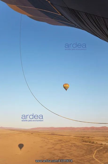 : Hot Air Ballooning : Hot Air Ballooning