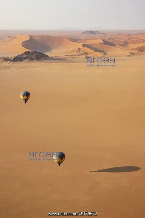 : Two hot-air balloons above an arid plain at the edge of the Namib Desert : Two hot-air balloons above an arid plain at the edge of the Namib Desert