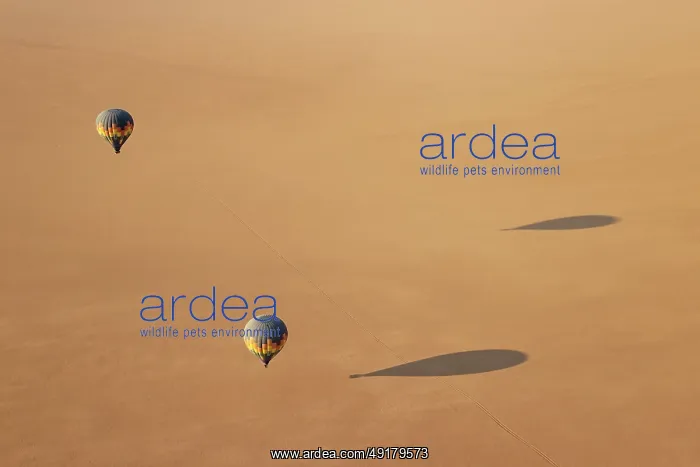  : Two hot-air balloons above an arid plain at the edge of the Namib Desert
