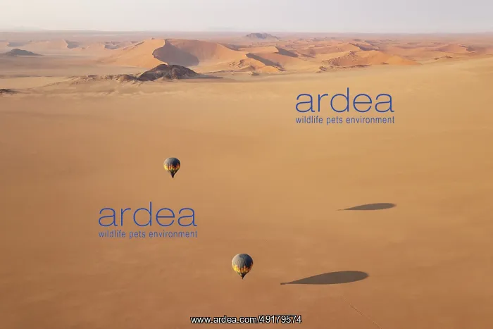 : Two hot-air balloons above an arid plain at the edge of the Namib Desert : Two hot-air balloons above an arid plain at the edge of the Namib Desert
