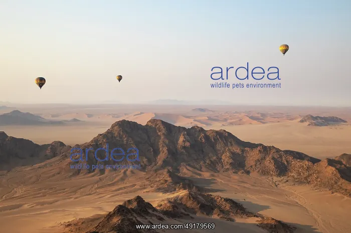 : Three hot-air balloons above an arid plain and isolated mountain ridges at the edge of the Namib Desert : Three hot-air balloons above an arid plain and isolated mountain ridges at the edge of the Namib Desert