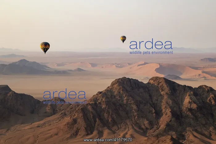 : Two hot-air balloons above an arid plain and isolated mountain ridges at the edge of the Namib Desert : Two hot-air balloons above an arid plain and isolated mountain ridges at the edge of the Namib Desert