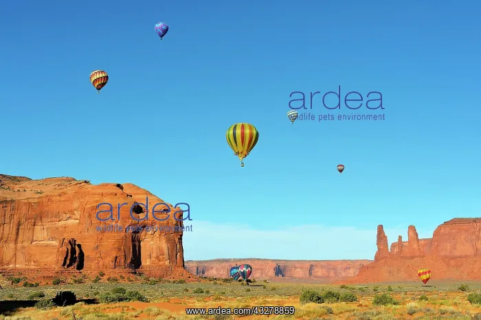 : Hot air balloons, balloon festival, Monument Valley : Hot air balloons, balloon festival, Monument Valley