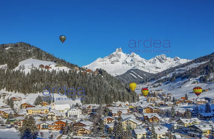 : Hot air balloons, Filzmoos in winter with mountain : Hot air balloons, Filzmoos in winter with mountain