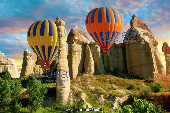 : Hot air balloons over the Love Valley, Cappadocia : Hot air balloons over the Love Valley, Cappadocia