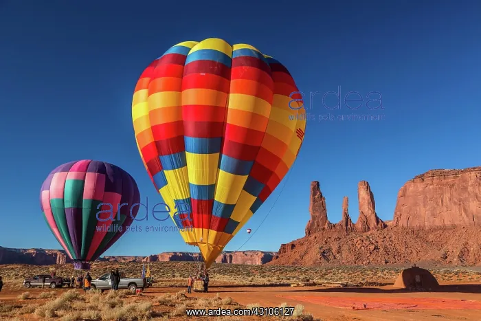 : Two hot air balloons ready for launching, right : Two hot air balloons ready for launching, right