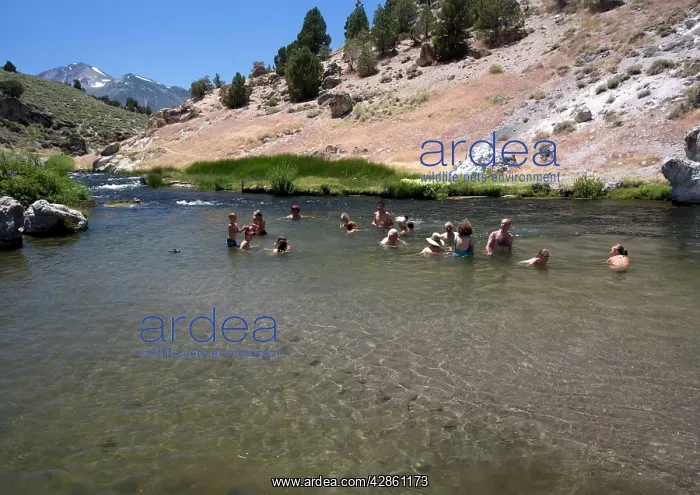 : Hot creek geological site - part of Owens River : Hot creek geological site - part of Owens River