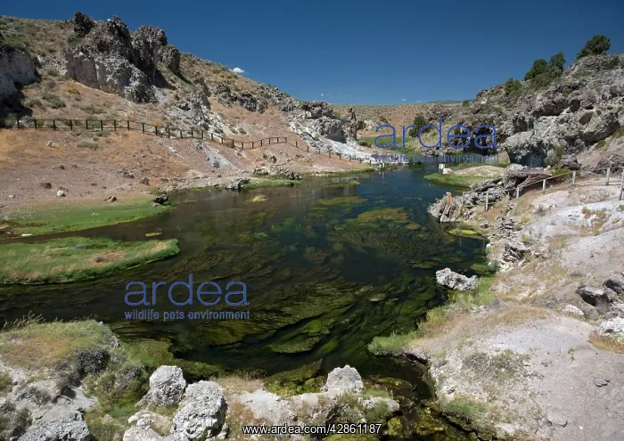 : Hot Creek Geological site - part of Owens River. Hot springs : Hot Creek Geological site - part of Owens River. Hot springs