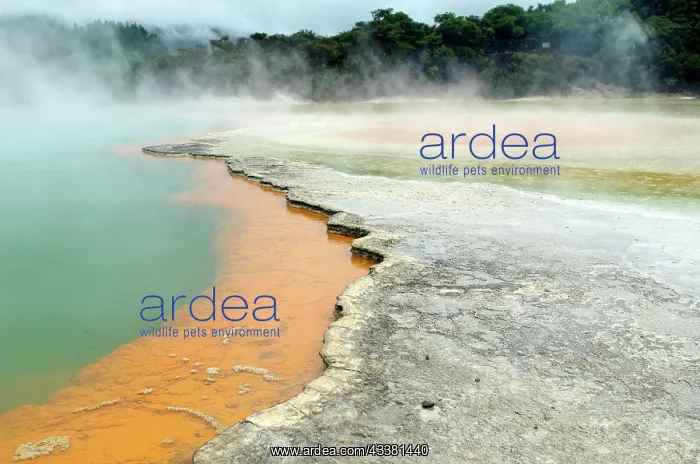 : Hot spring deposits : Hot spring deposits